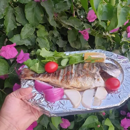 Ilkim * Marmaris