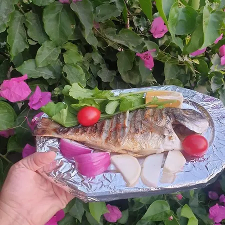 Ilkim * Marmaris